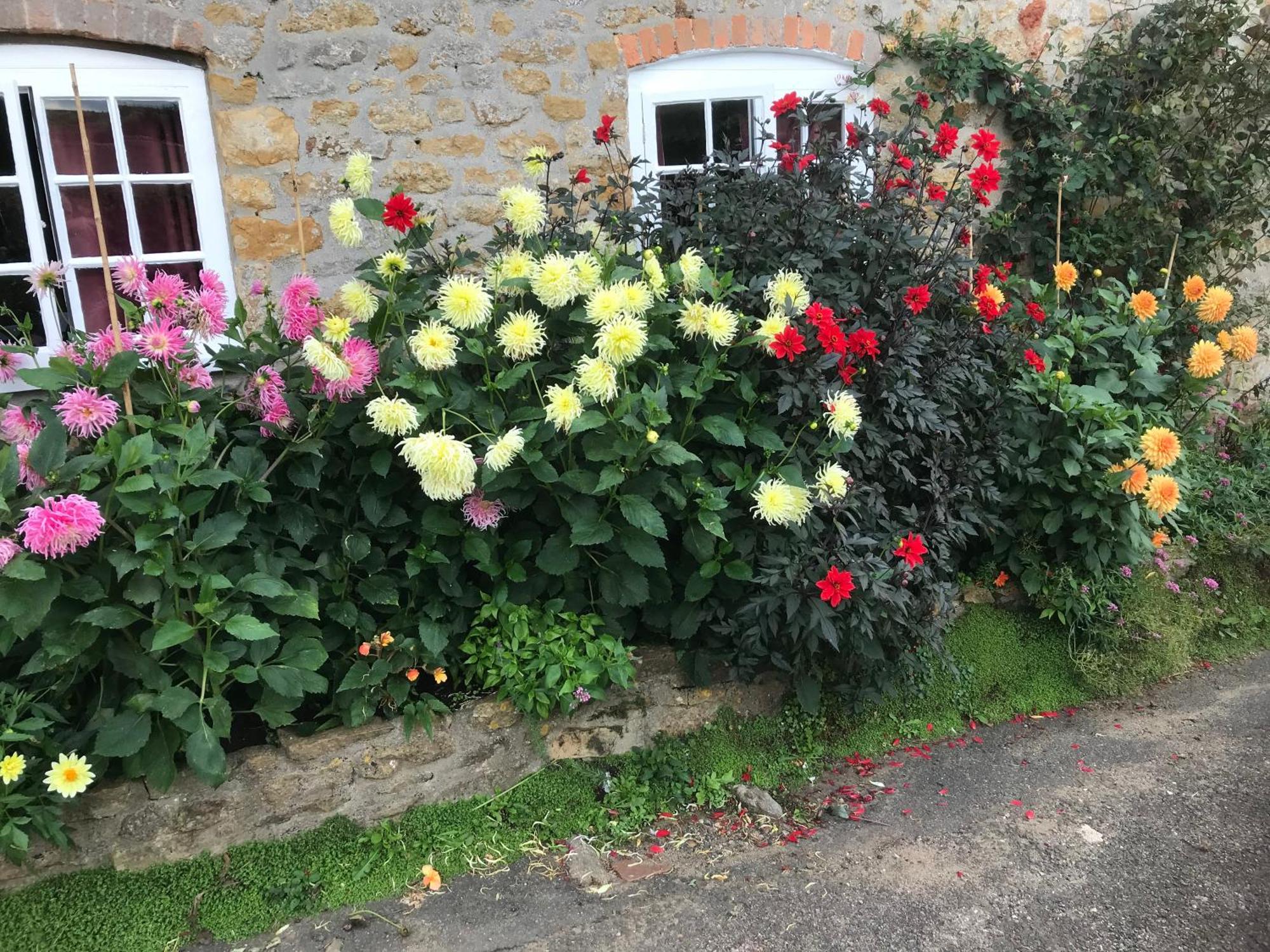 The Cottage Abbotsbury Eksteriør bilde