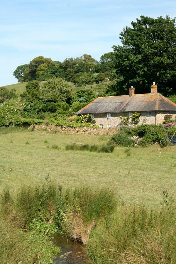 The Cottage Abbotsbury Eksteriør bilde