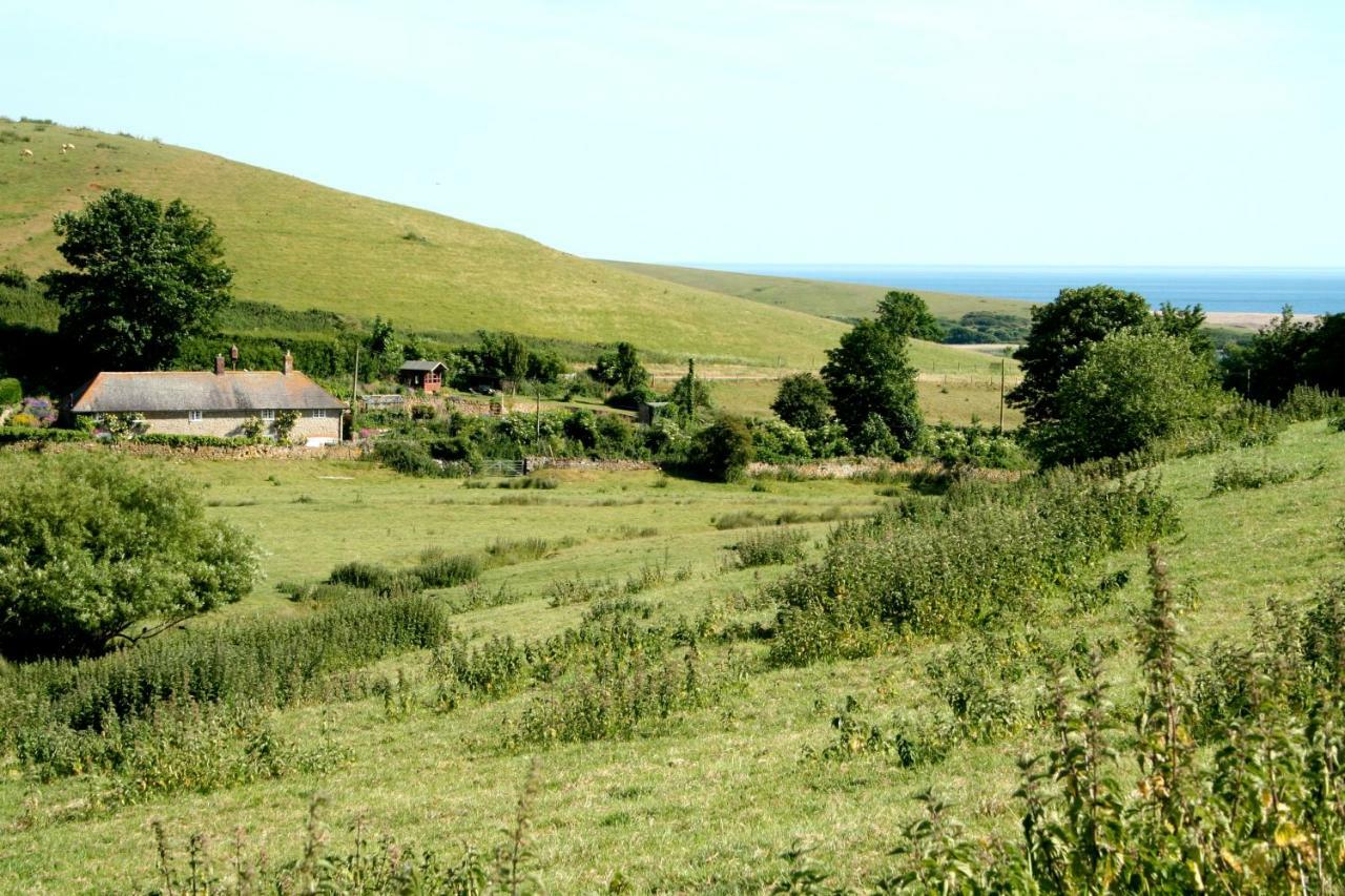 The Cottage Abbotsbury Eksteriør bilde