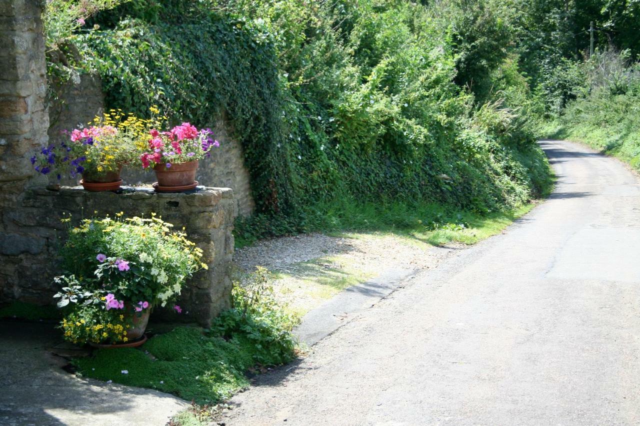 The Cottage Abbotsbury Eksteriør bilde